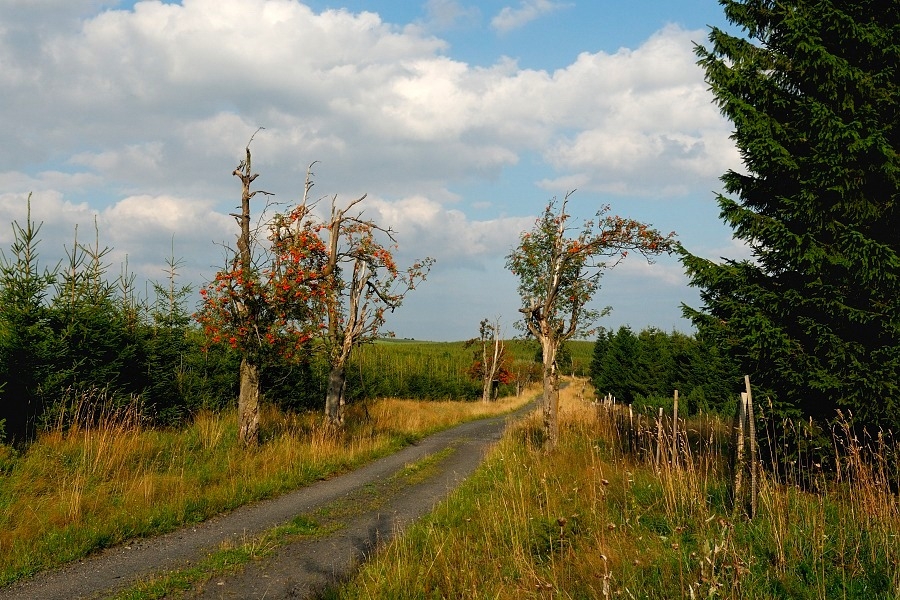 img00034.jpg