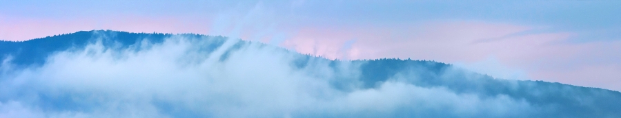 img00035.jpg