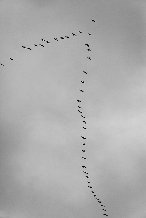 img00063.jpg