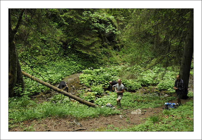 img00078.jpg