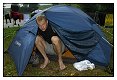 Popis: je ráno, pěknej den, jako nejeden a brána k vodě otevřená 