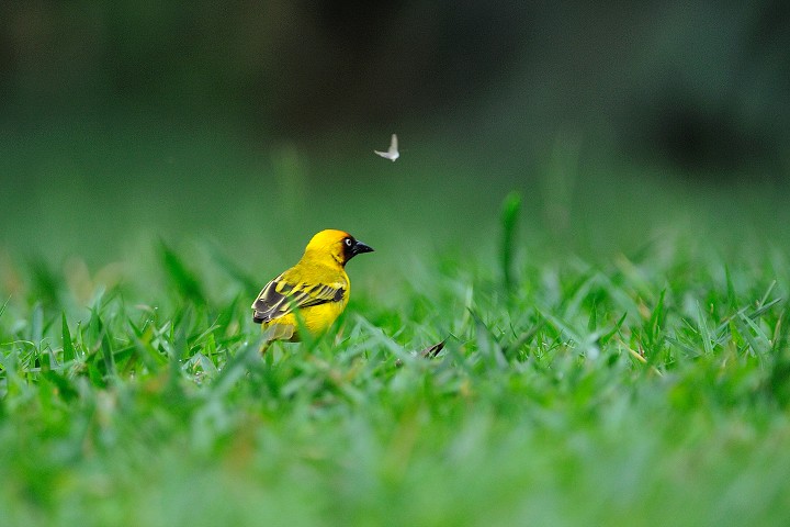 img00022.jpg