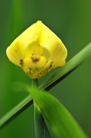 img00025.jpg
