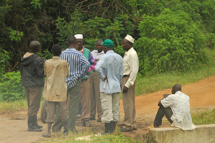 img00068.jpg