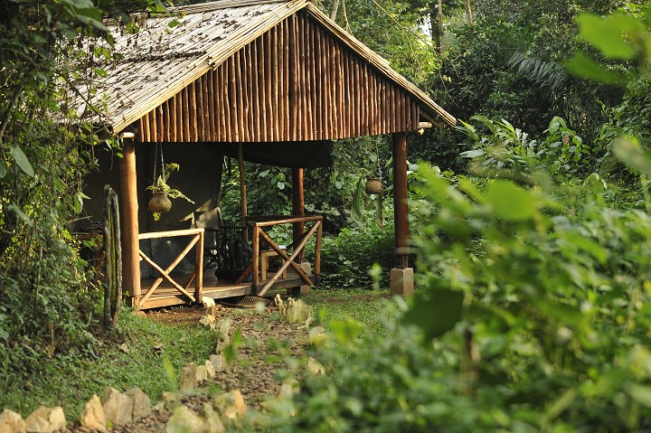 img00113.jpg