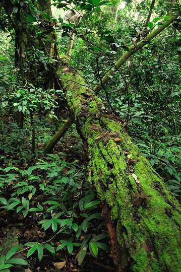 img00133.jpg