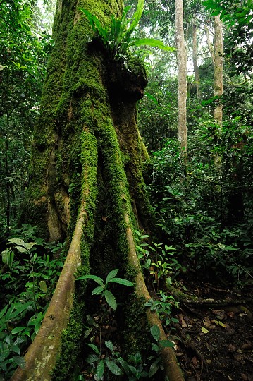img00136.jpg