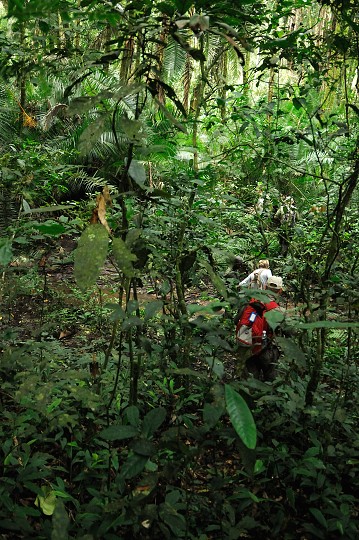 img00143.jpg