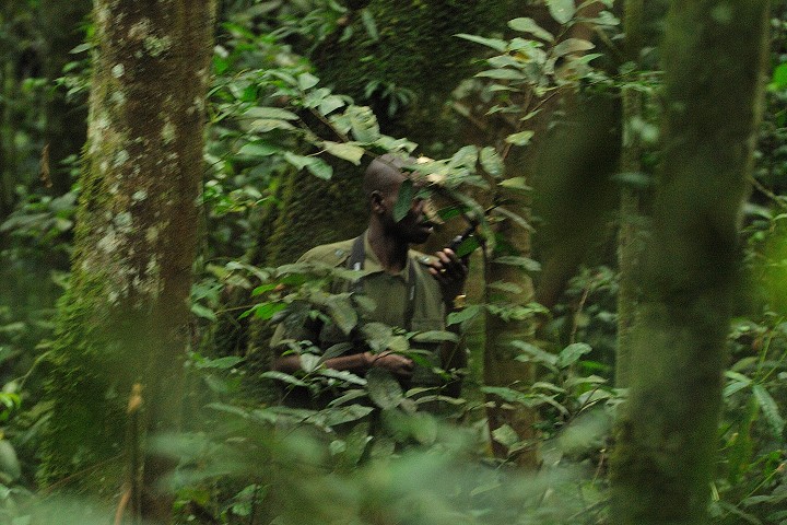 img00144.jpg