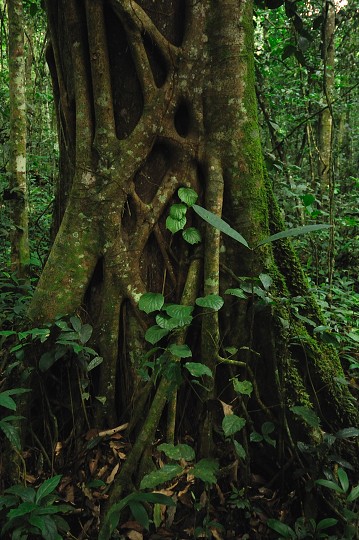 img00157.jpg