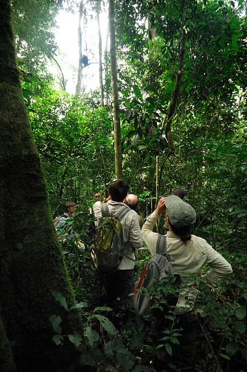 img00167.jpg
