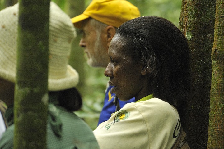 img00175.jpg