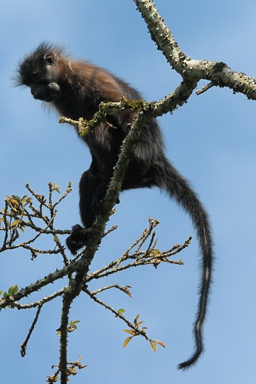 img00200.jpg
