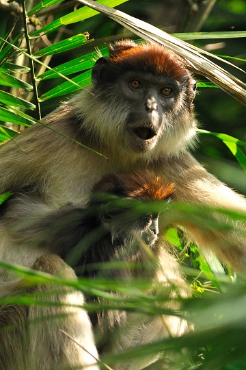 img00209.jpg
