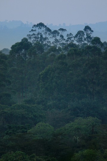 img00217.jpg