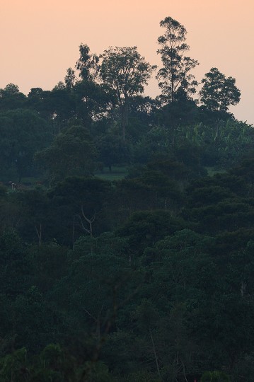 img00218.jpg
