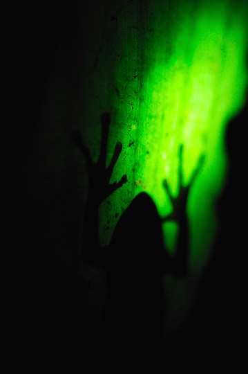 img00223.jpg
