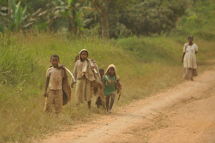 img00226.jpg