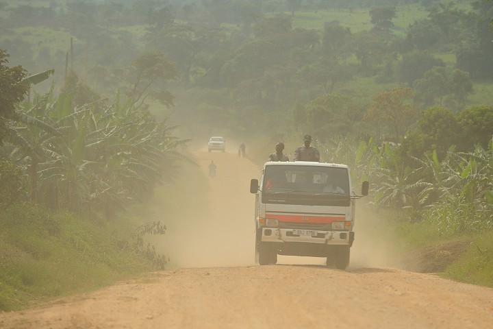 img00229.jpg