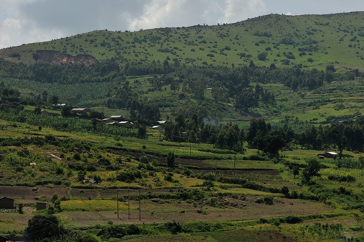 img00234.jpg