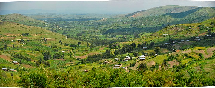 img00235.jpg