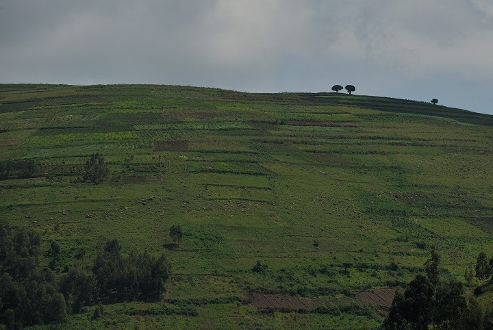 img00236.jpg