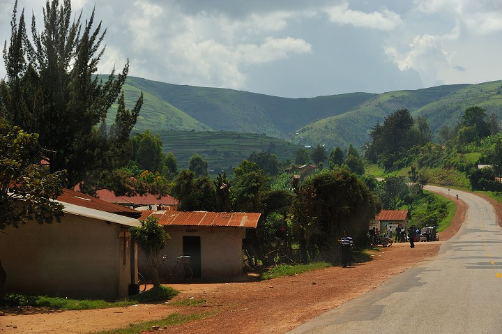 img00237.jpg