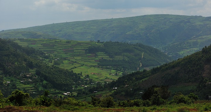 img00242.jpg