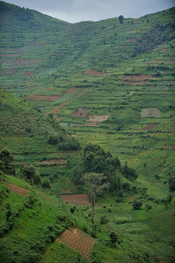 img00251.jpg