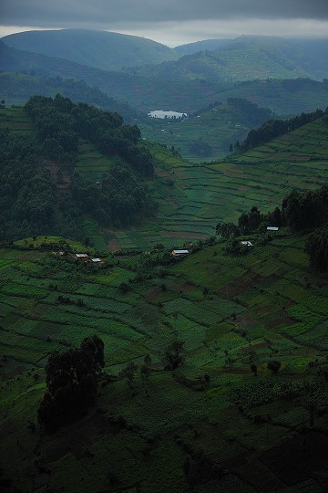 img00256.jpg