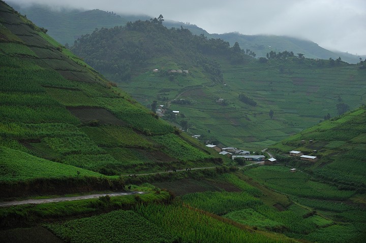 img00259.jpg
