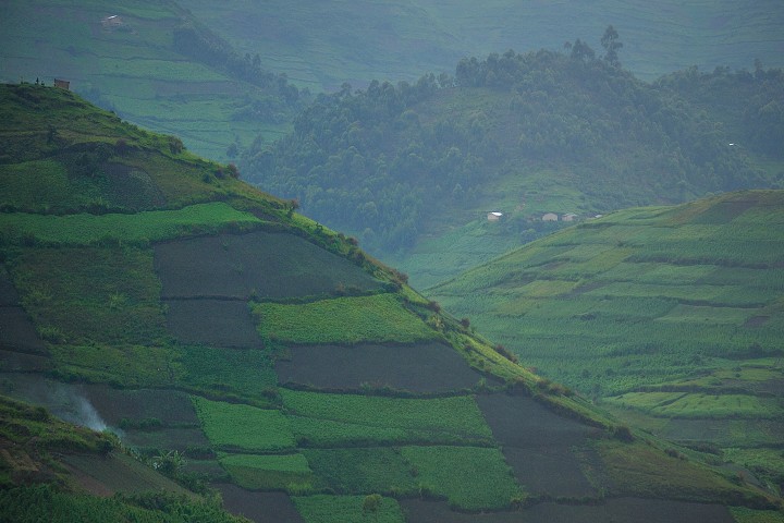img00261.jpg