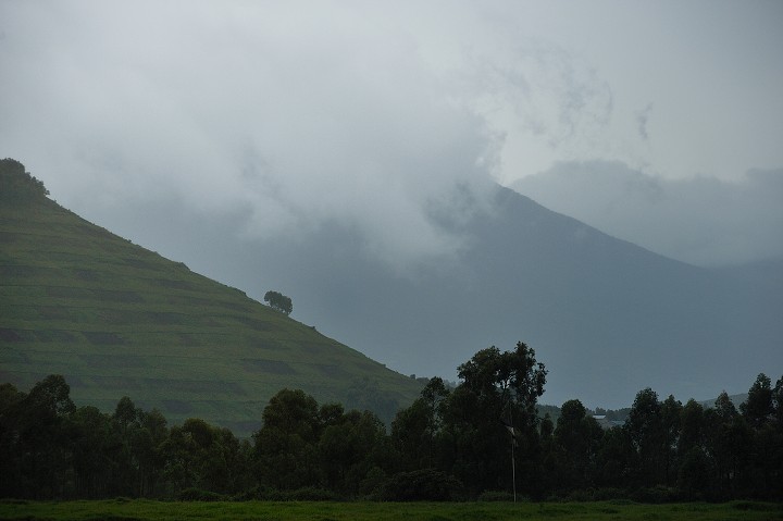 img00262.jpg
