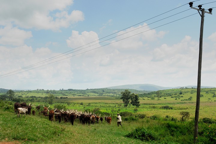 img00273.jpg