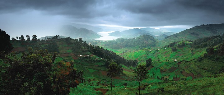 img00280.jpg