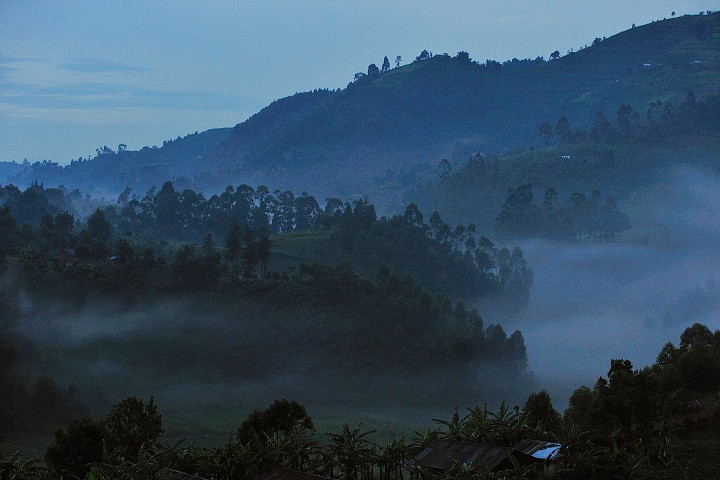 img00281.jpg