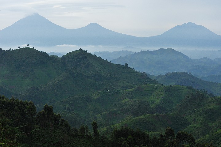img00285.jpg