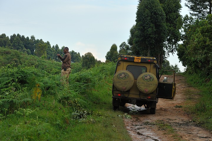 img00286.jpg