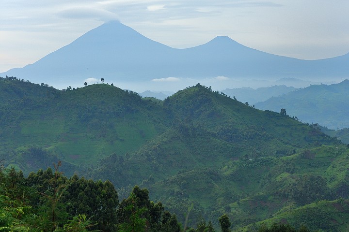 img00287.jpg