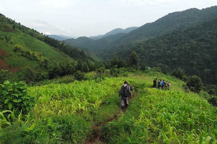 img00299.jpg